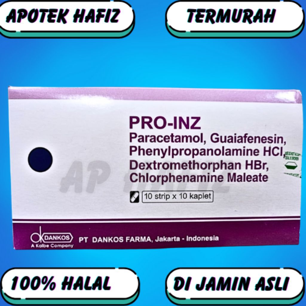 PRO-INZ TABLET meringankan gejala flu - BOX