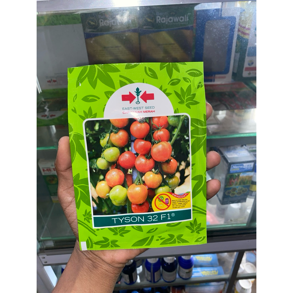 Bibit tomat Tyson 32 F1 - 1750Butir