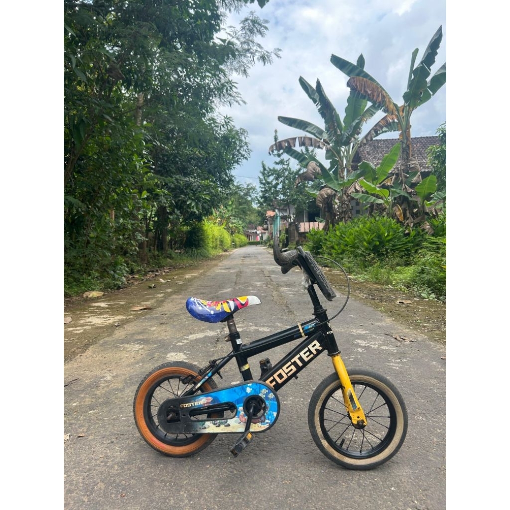 sepeda anak 12 inci foster