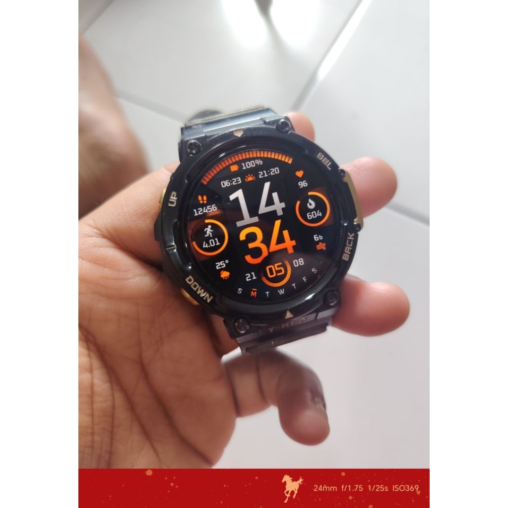 AMAZFIT T REX 2
