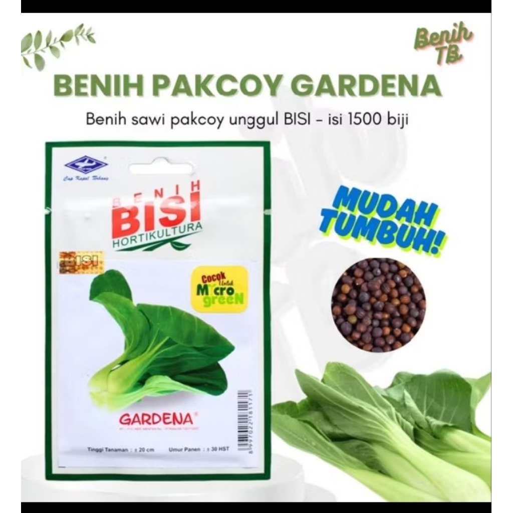 sawi gardena,sawi pakcoy sawi sendok