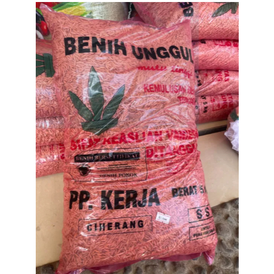 BIBIT - PADI CIHERANG PP KERJA SS - 5 KG