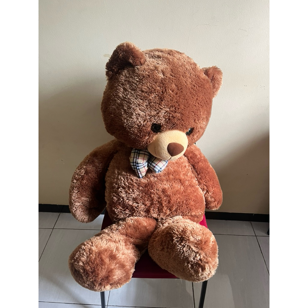 [PRE-LOVED] Teddy Bear Istana Boneka