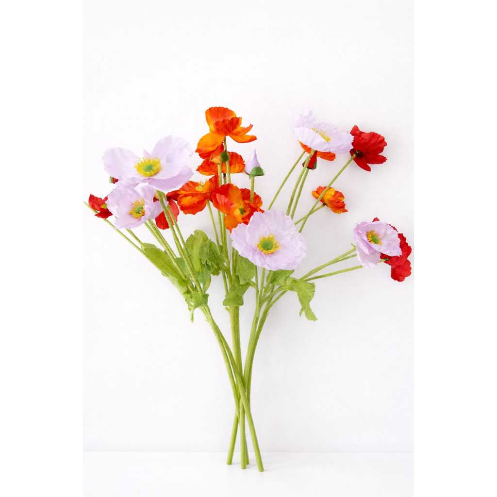 Poppy Cabang 4 /Bunga Poppy