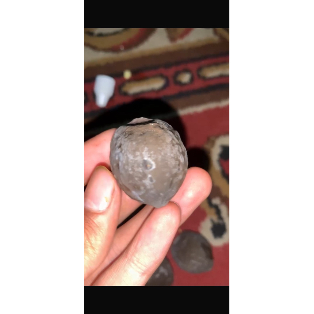 Muncang Adu Jayanti Anak si Pait