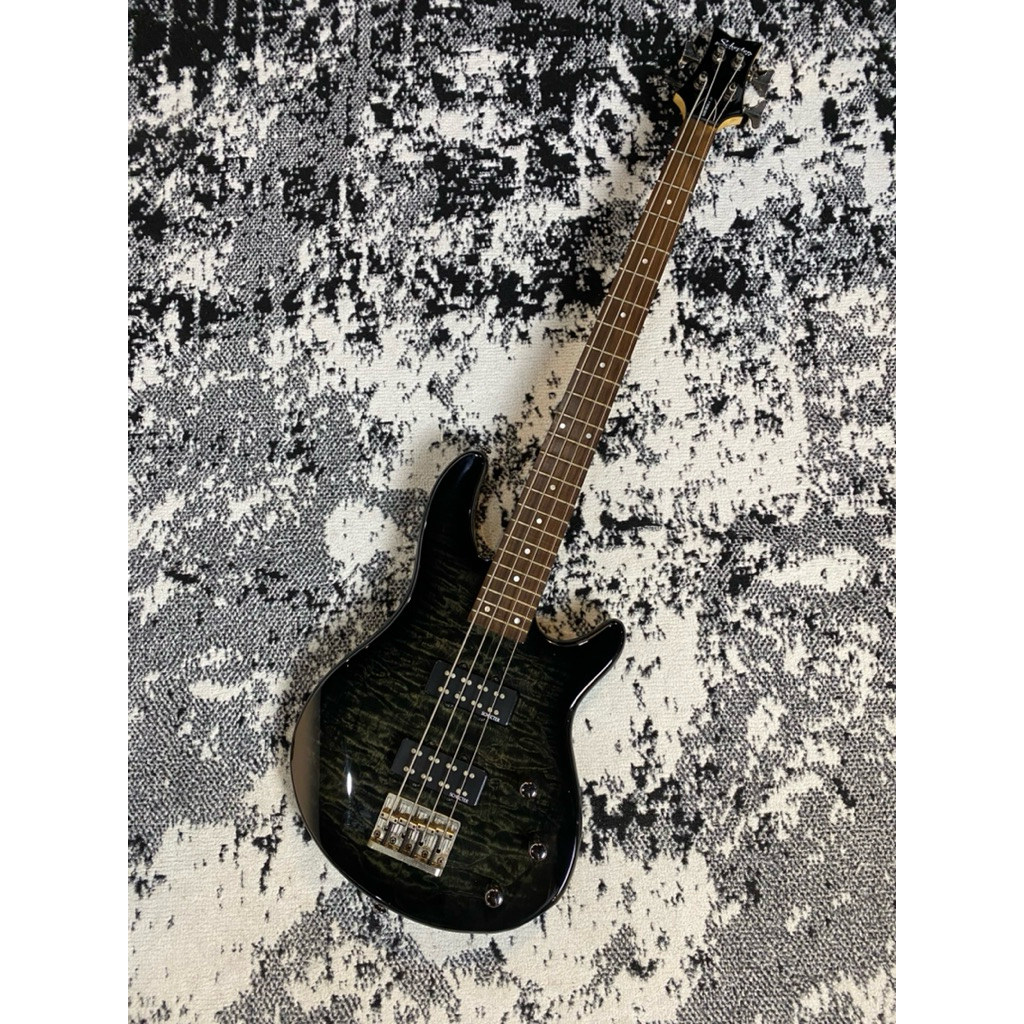 Schecter Diamond Series Raiden Special 4