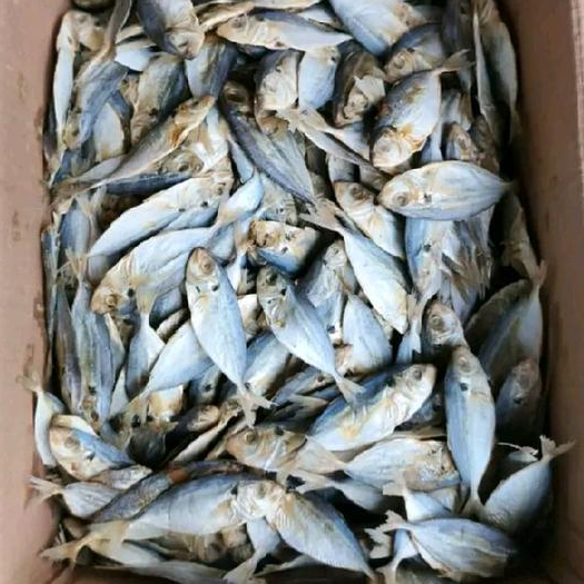 Ikan asin selar 250gram Ikan Kering Ikan Asin Kering Selar Putih 250 Gr Ikan asin selar