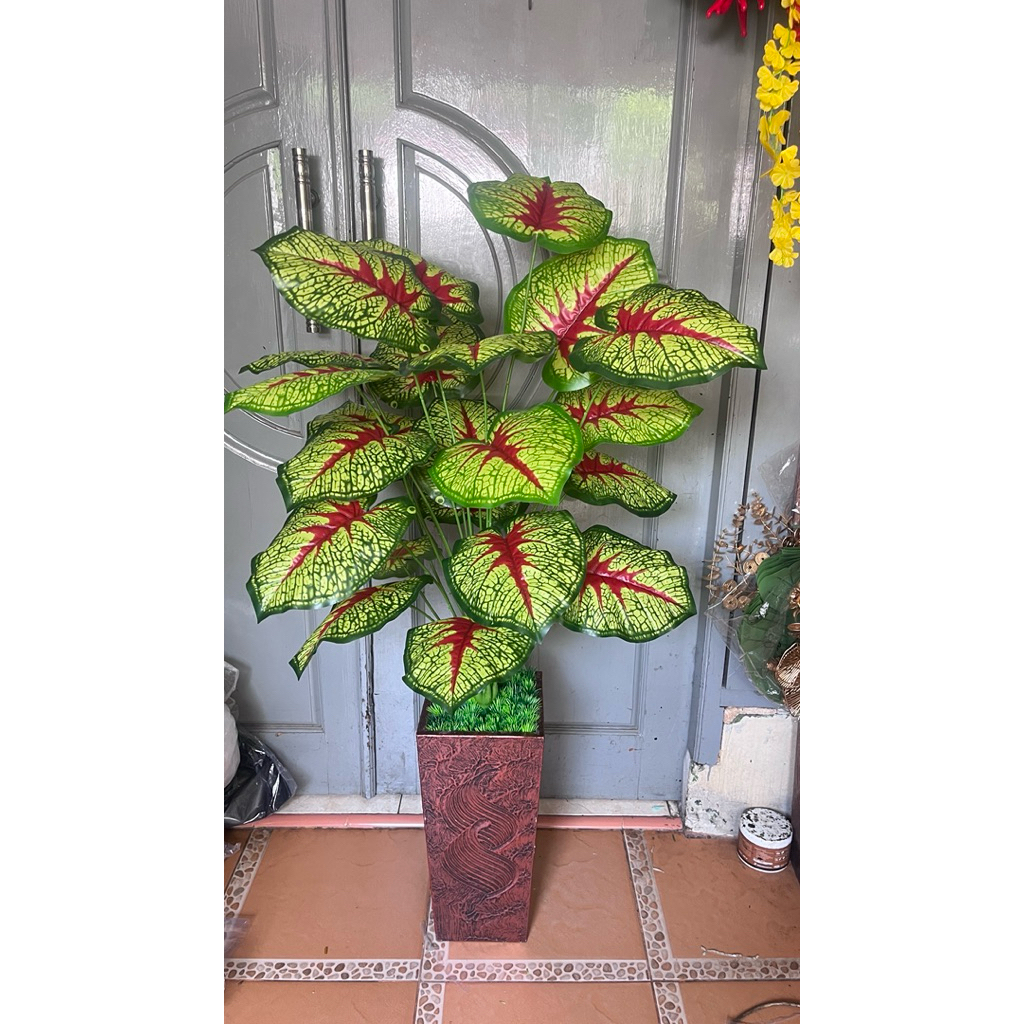 Pohon keladi  jumbo  tanaman  artificial  bunga   sudut  ruangan