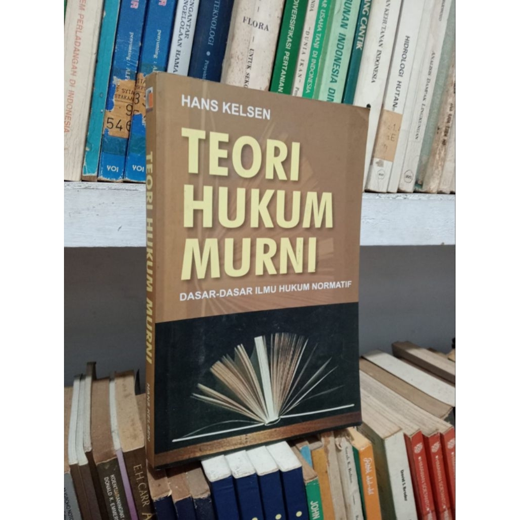 TEORI HUKUM MURNI