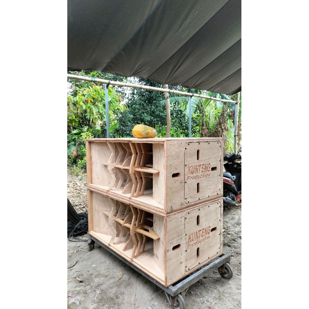 Box Speaker CLA 18 Inch Dobel - Desain Rapi, Suara Keras, Bahan Berkualitas