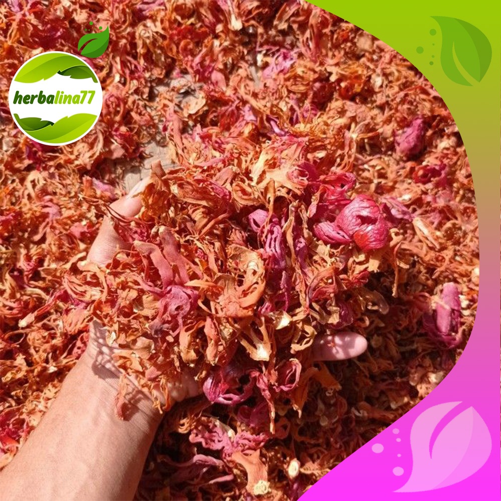 Bunga Pala Kering 1 Kg - Fuli - Sempra Pala Kering herbalina77