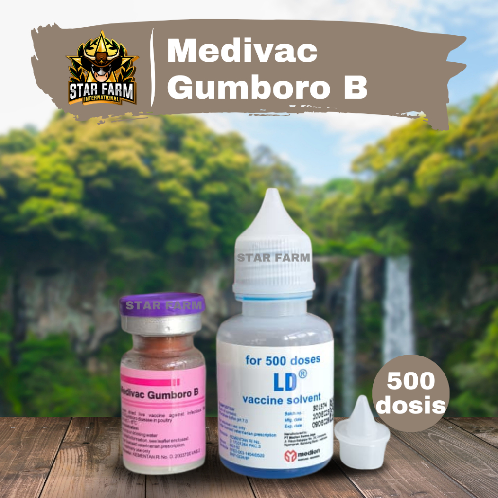 Vaksin Gumboro B 500 Dosis Mencegah IBD/Gumboro Pada Unggas