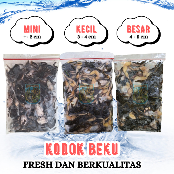 Kodok Sawah Beku Fresh 500gr
