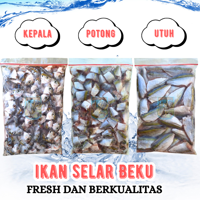 Ikan Selar Beku Segar Pakan Ikan Predator Besar Jumbo Lempeng 500gr Ikan Selar Segar