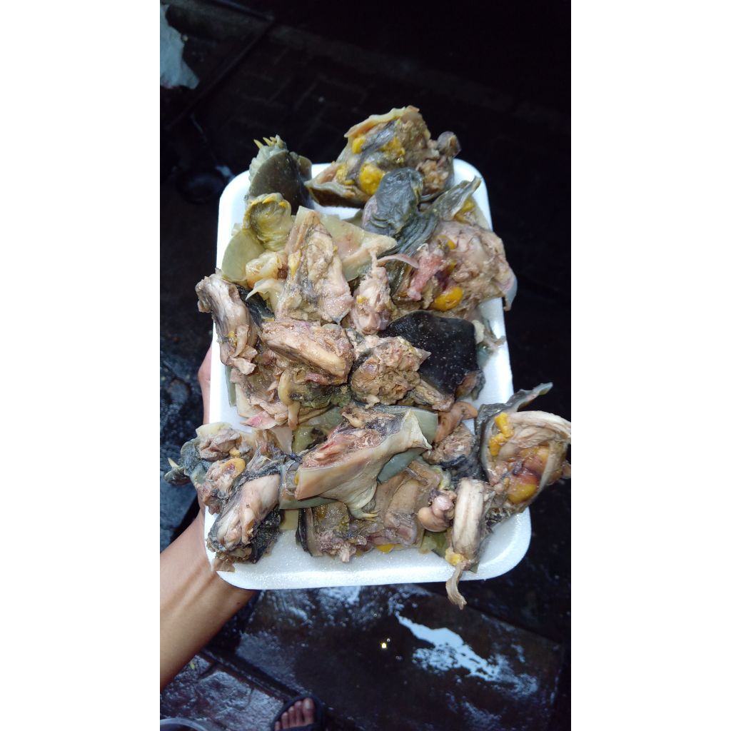 Daging Bulus 1kg Rebus Labi-labi