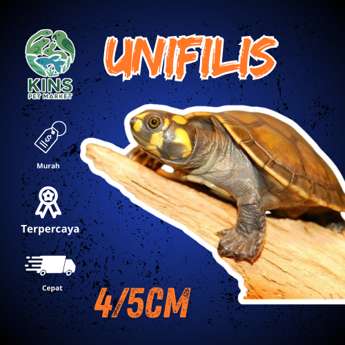 KURA AIR KURA KURA UNIFILIS/ KURA KURA BADUT - KURA KURA LUCU IMUT UKURAN 3CM INSTANT