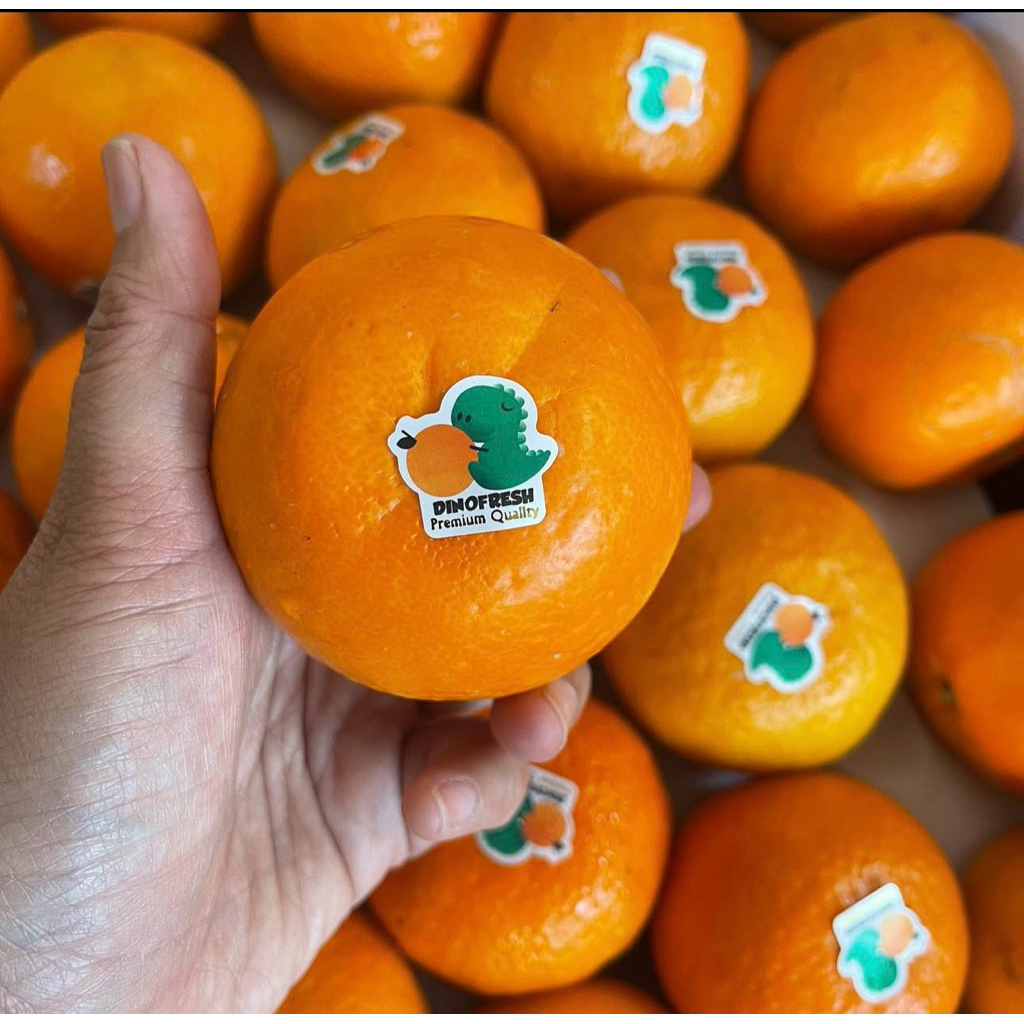 Jeruk Wogan Mandarin Yuji