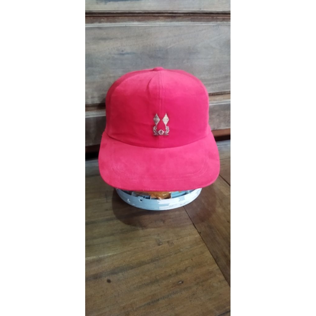 Topi snapback wol