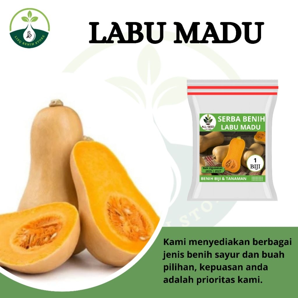{ 1 BIJI } Benih labu madu / bibit labu / Labu madu