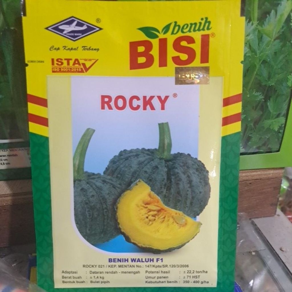 Benih Bibit Waluh Labu Rocky isi 5g
