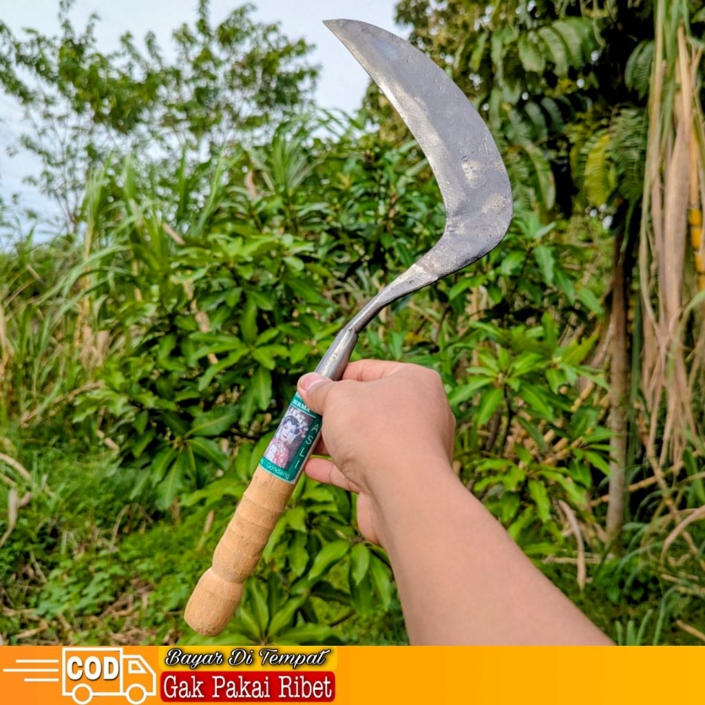 Arit Sabit Pengaritan Pemotong Rumput Semak Belukar Ranting Dahan Pohon Arit Baja Super Tajam Pemagk