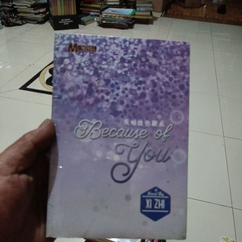 ORIGINAL NOVEL BECAUSE OF YOU