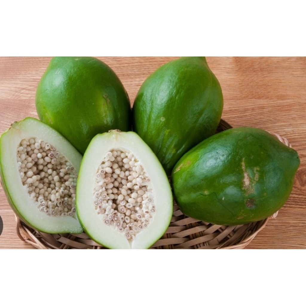 pepaya mentah