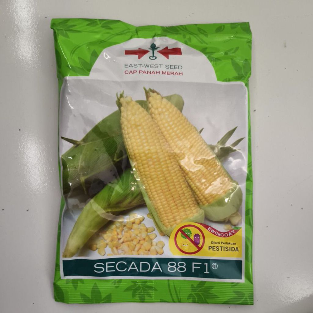 Benih Jagung Manis Secada 88 F1 1.750 Biji