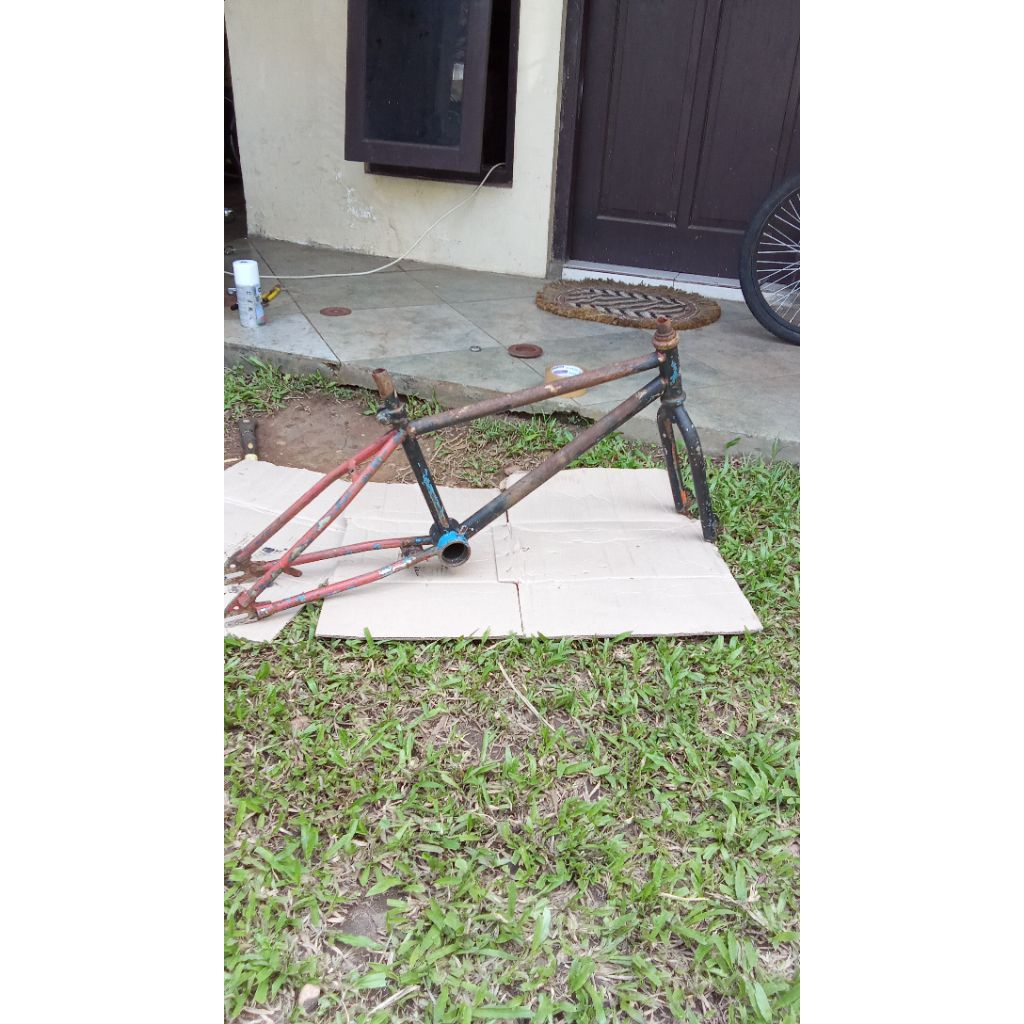 frame os BMX forever