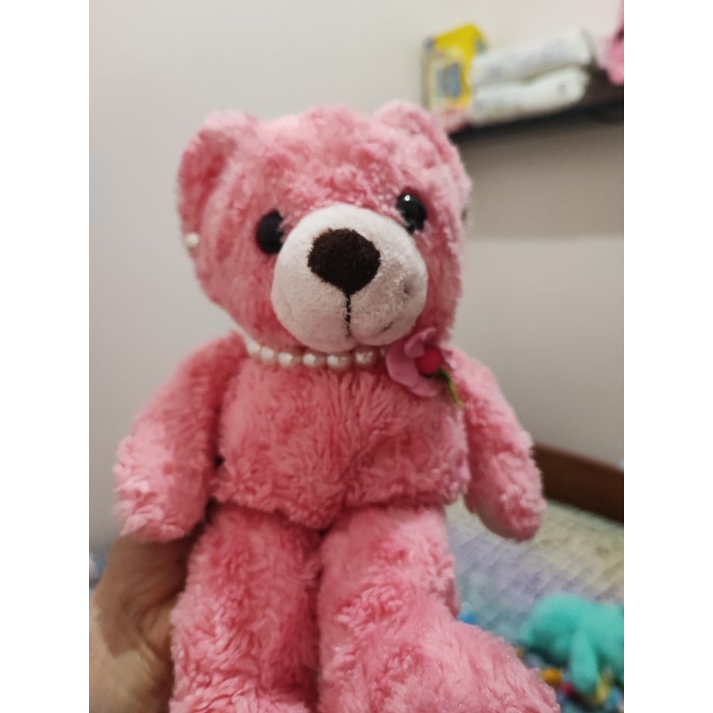Teddy bear fujisey