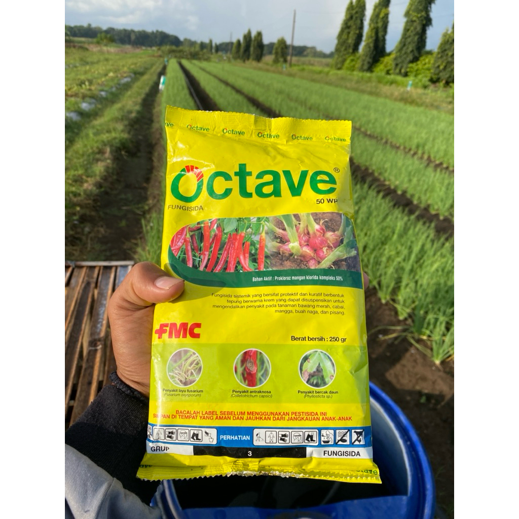 Fungisida  Octave 250gram