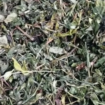 Sambiloto Kering 1 kg