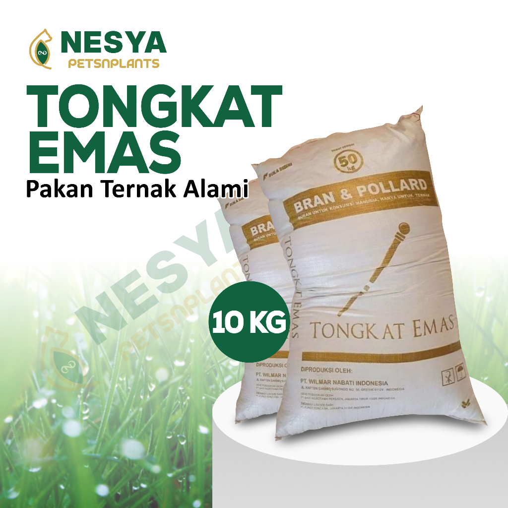 Pollard 10 kg Tongkat Emas Kemasan 10Kg Polar Pakan Sapi / Polar Pakan Ternak