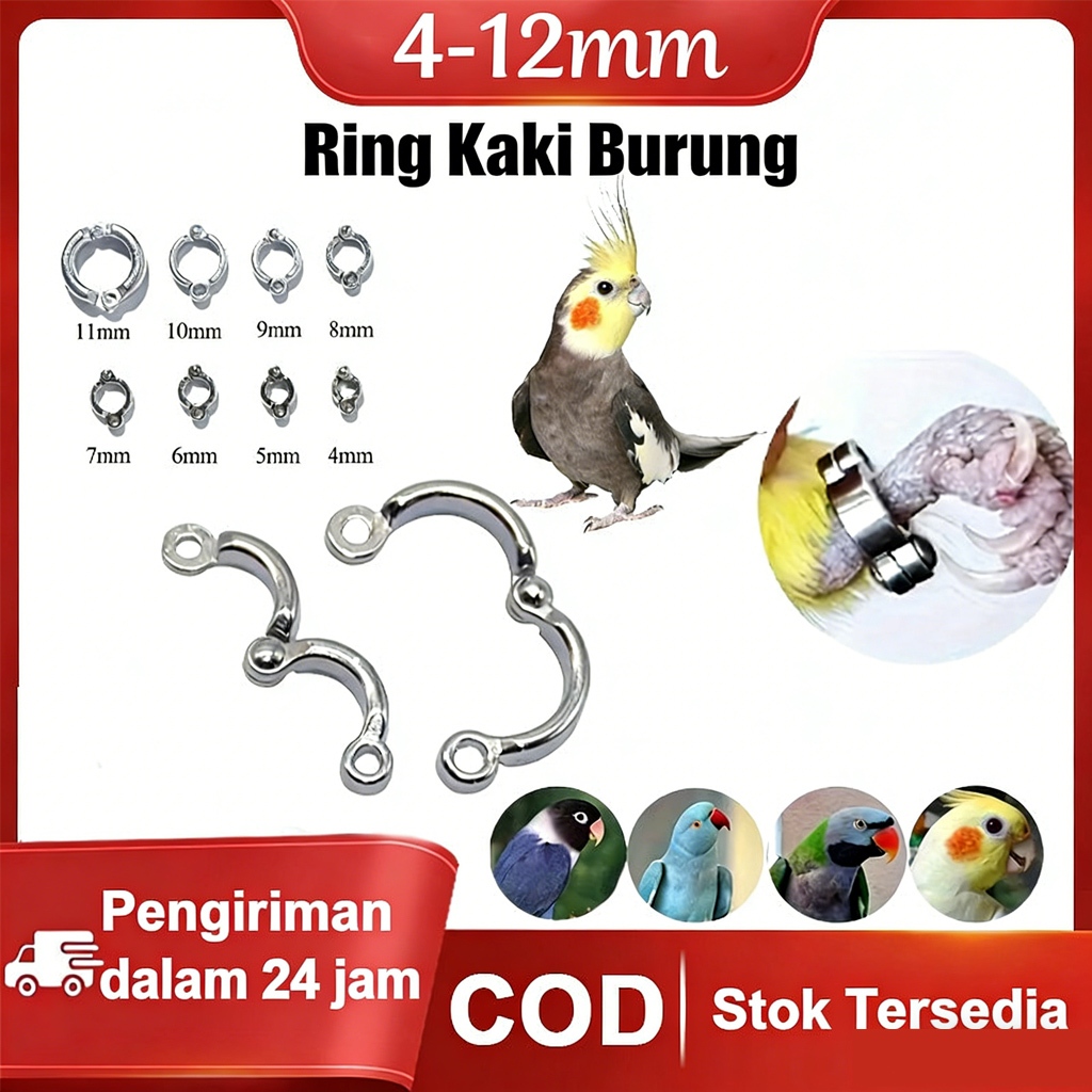 Ring Borgol Kaki Burung Stainless Tahan Karat Cocok untuk Parrot, Lovebird, dan Burung Hias