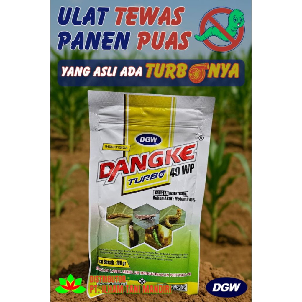 DANGKE 100gr