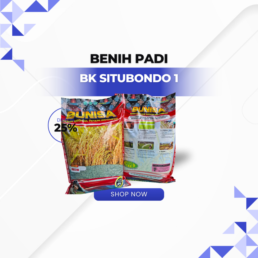 BENIH PADI BK SITUBONDO 01 KEMASAN 5 KG UMUR PENDEK TAHAN ASAM