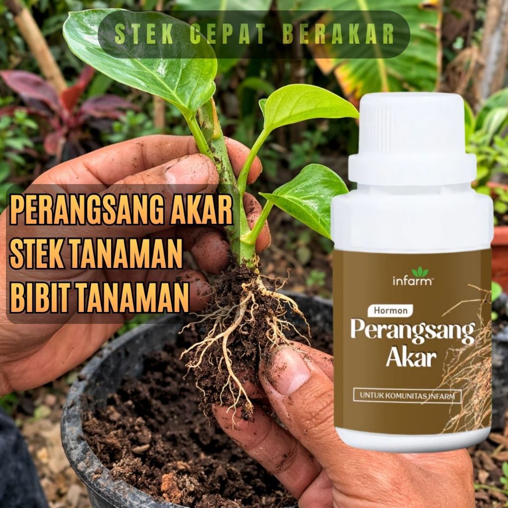 Perangsang Akar Stek Tanaman 500ml Stek Cepat Berakar untuk Bibit Tanaman dan Tanaman Hias