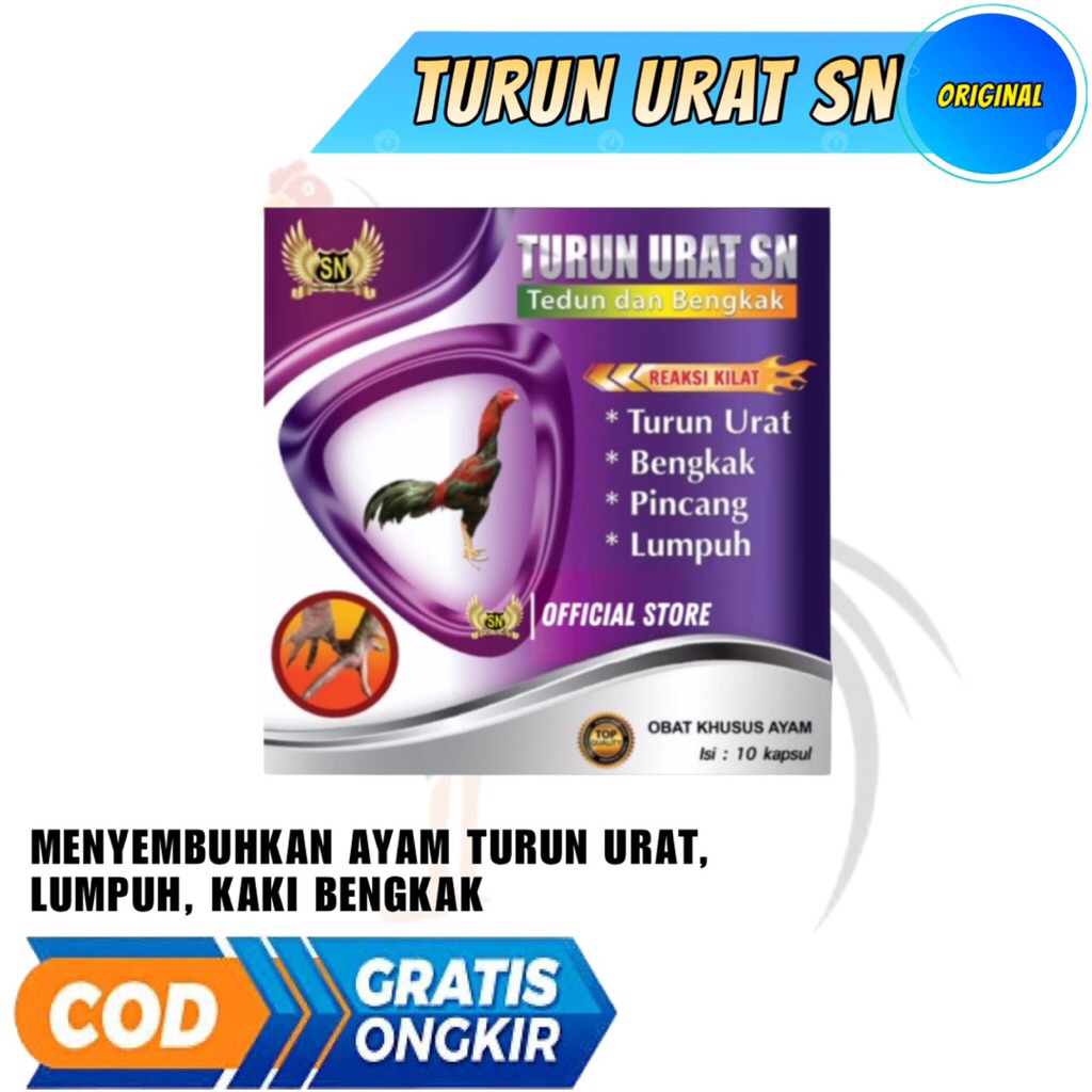 TURUN URAT SN obat ayam turun urat dan lumpuh