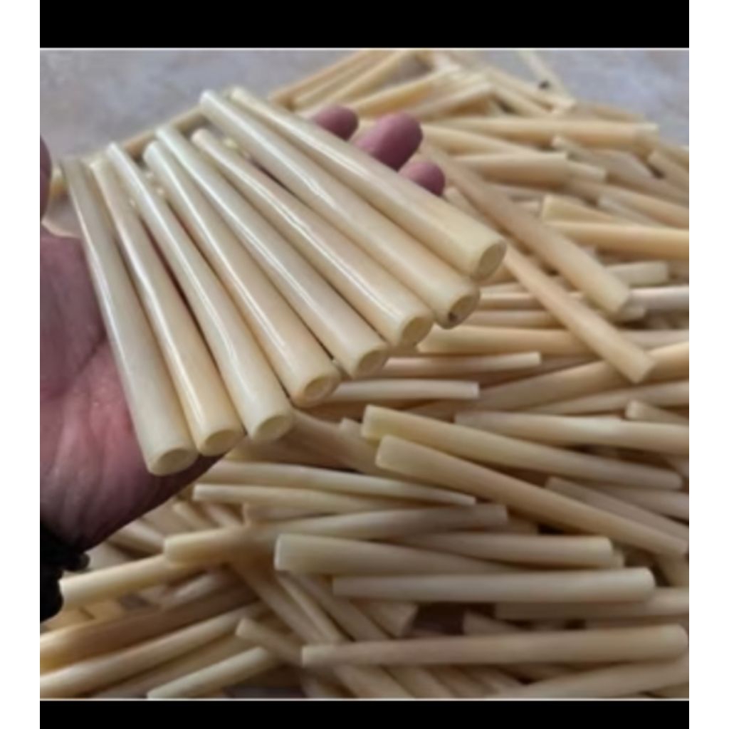 Once Pipa tulport p12cm istimewa bahan padat istimewa super premium