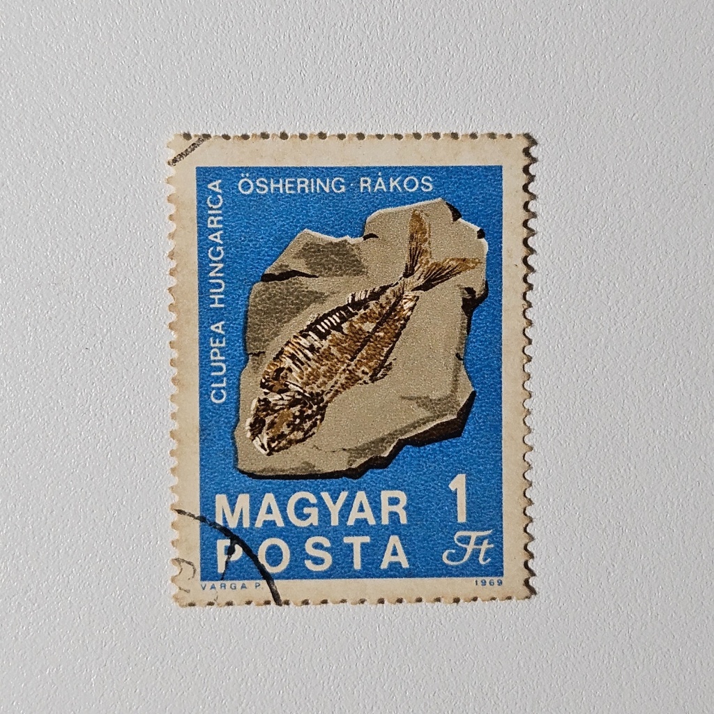 Perangko Fosil Prasejarah Hungaria: Ikan Clupea Hungarica Paleontologi (Perangko Vintage Klasik 1969