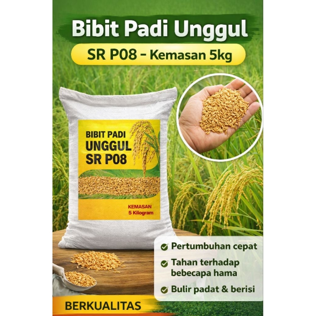 Bibit Padi SR P08 Kemasan 5kg | Benih Padi Berkualitas Petani