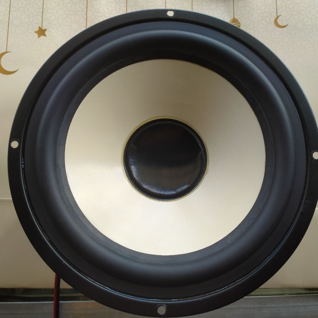 Speaker Woofer 8 inch PAS Polytron