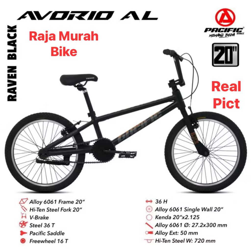 Sepeda anak laki laki bmx 20 inch pacific avorio AL sepeda bmx pacific avorio AL 20 inch