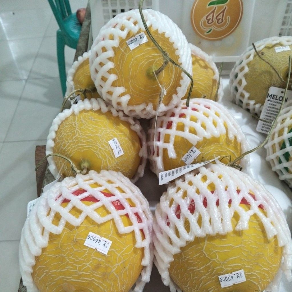 melon lavender manis dan Crunchy // melon hidroponik