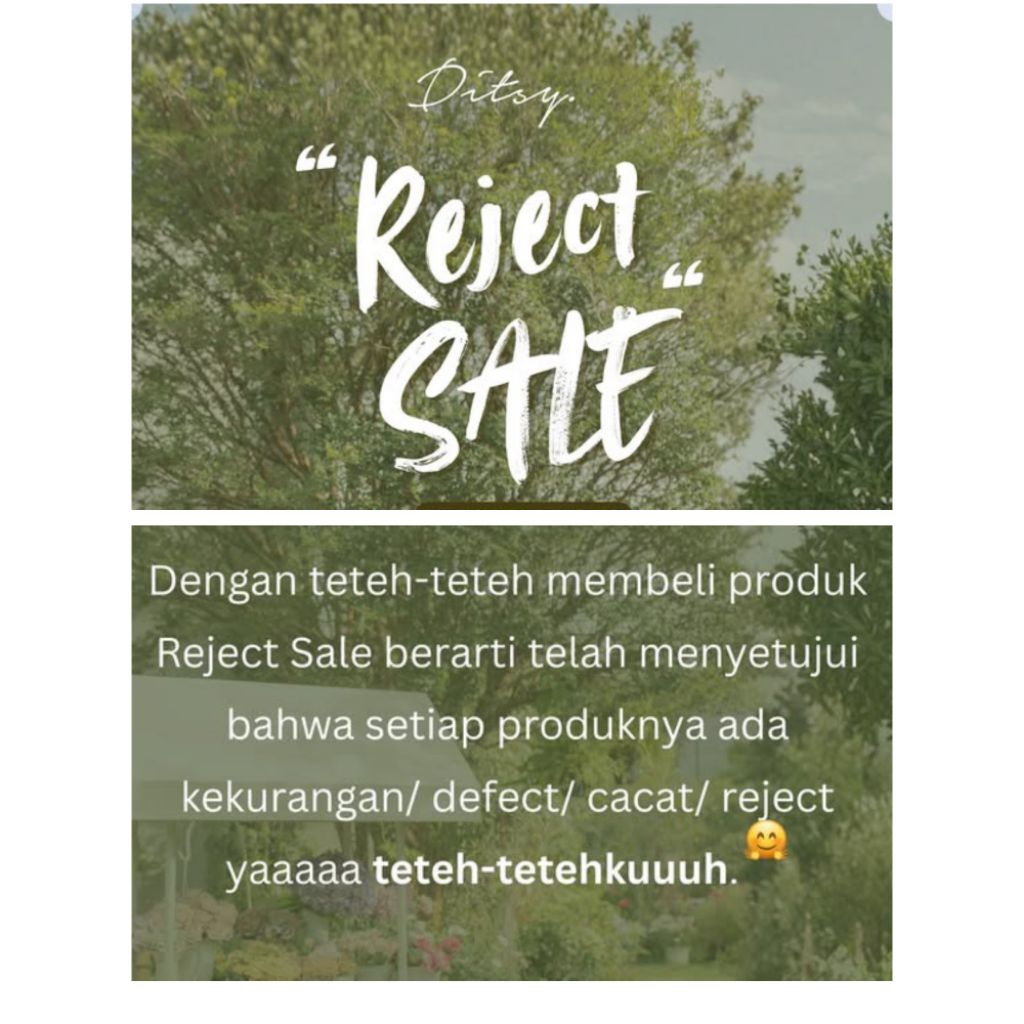 REJECT SALE NG DITSY 2026