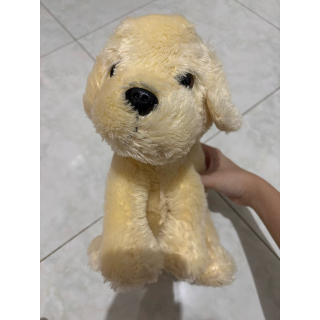 PRELOVED - boneka anjing kecil