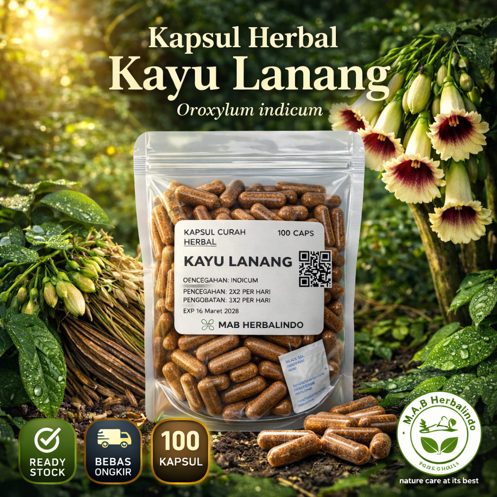 Kayu Lanang Oroxylum Indicum100 Kapsul Curah Herbal Stamina Pria