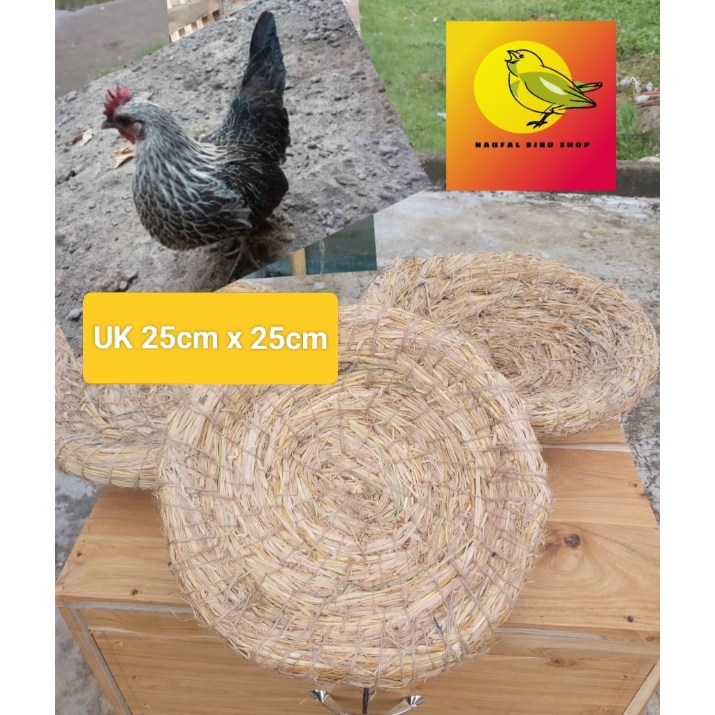 tarangan ayam kate petarangan ayam ukuran 25×25