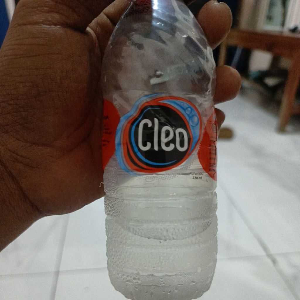 Air Mineral Cleo Botol Mini 220ml