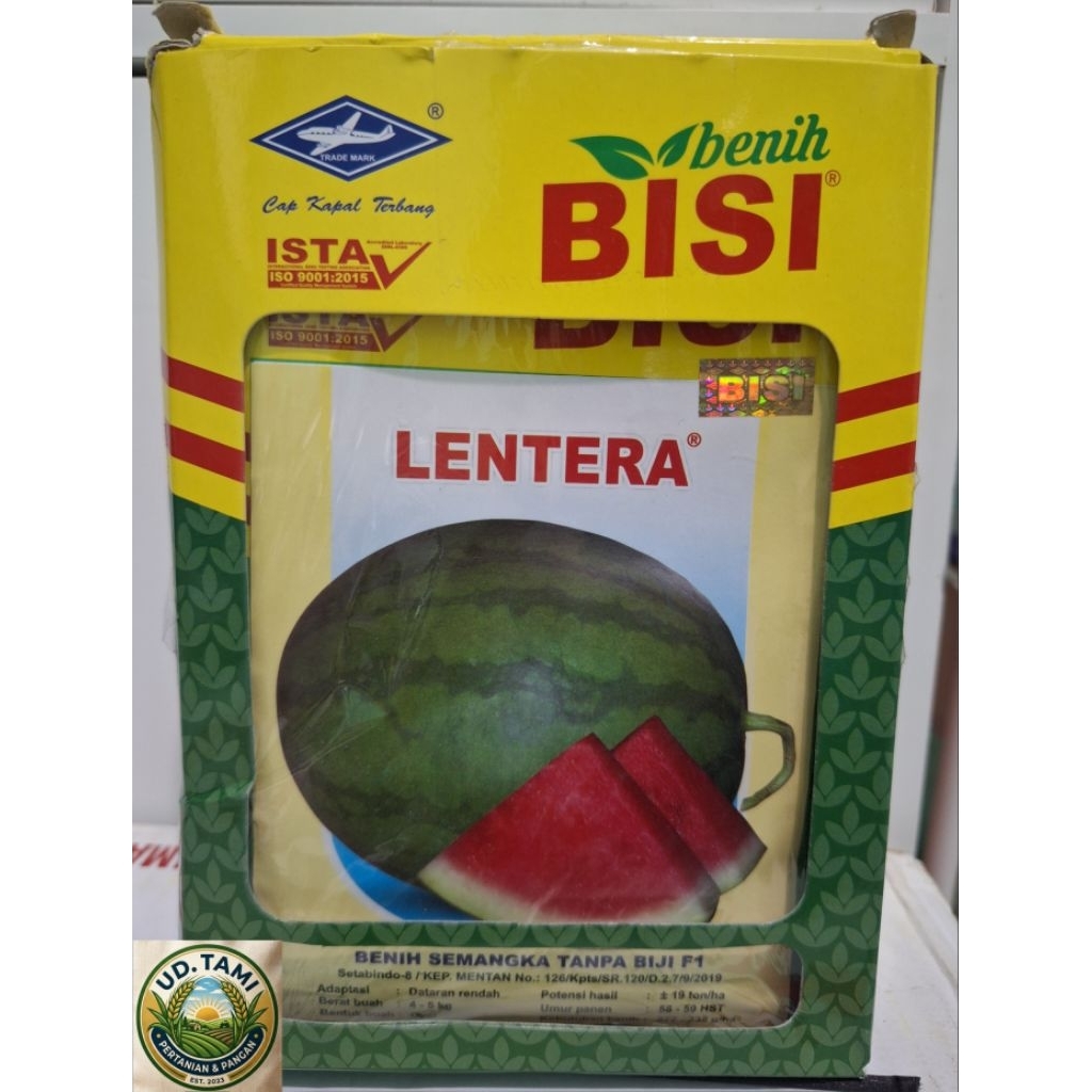 1 Kotak/ 6 Bungkus Benih Semangka Merah Non Biji Lentera isi 20 gram